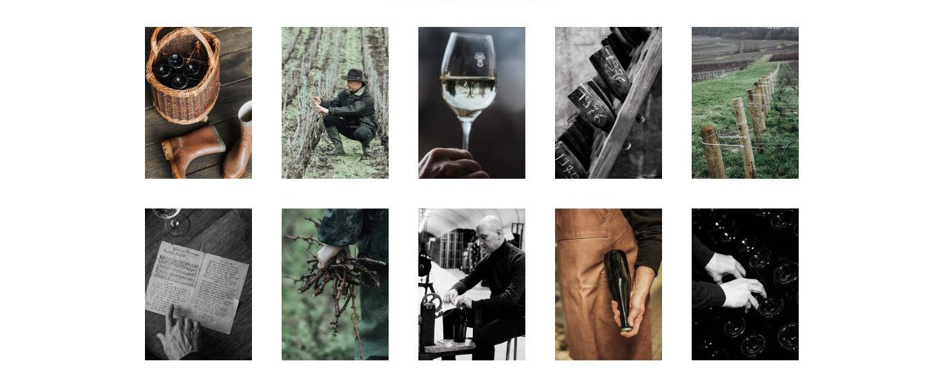 UK Dev Champagne Telmont